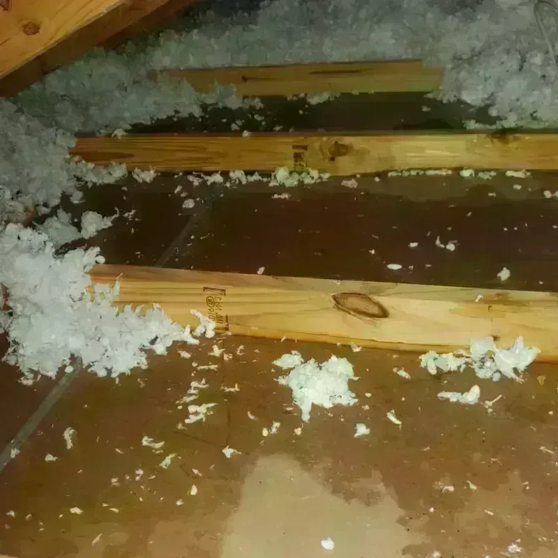 Attic Water Damage in Tyrone, GA